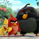 Image for article titled Angry Birds Is Over